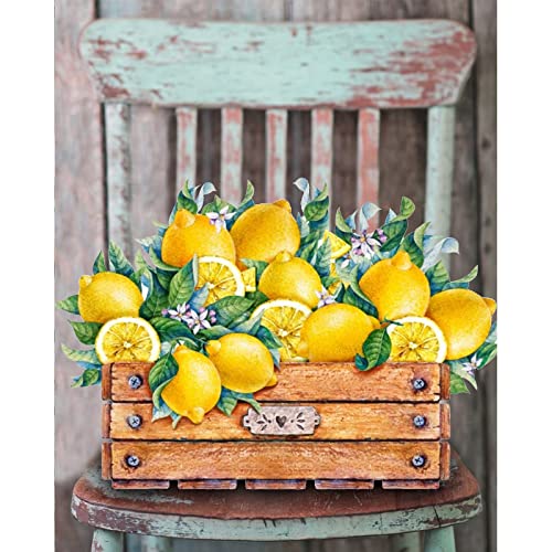 Zitrone Malen nach Zahlen für Erwachsene, Vintage-Stuhl DIY-Ölgemälde-Kits auf Leinwand mit Pinseln und Acryl-Pigment-Blumen in Töpfen rustikaler Stil Bild für Zuhause Wanddekoration40x50cm(rahmenlos)