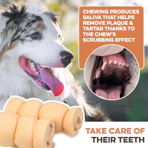 Premium Beef Cheek Rolls for Dogs 10-12" - (10-Pack) Long Lasting, Safe & Natural Rawhide Alternative Chews, Ideal for Large Dogs & Aggressive Chewers, Supports Dental Health & Digestion