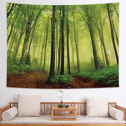 [KMBIGNK] ^yXg[ JGf̐X ڂ Ђ܂ z|X^[  X G ȕǊ| 2x1.5 Mtg a Ǌ| Ǐ gt n ǂ̑ CeA fUC3 EH[A[g Vj @\