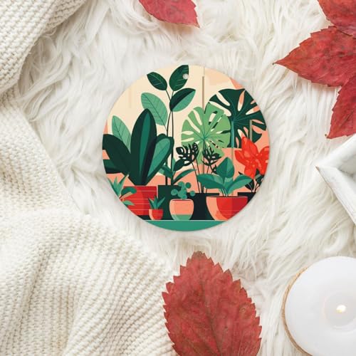 Hojas aromáticas para auto con plantas verdes en maceta miniatura 6