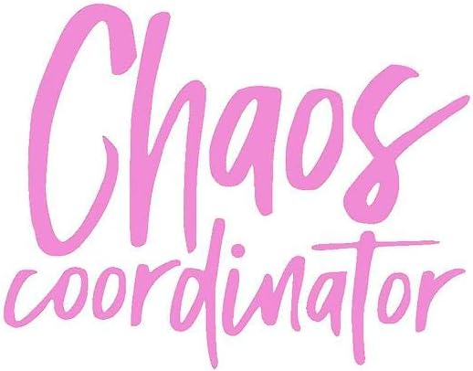 Chaos Coordinator Funny CCI Decal Vinyl Sticker|Cars Trucks Vans Walls Laptop|Pink|5.5 x 4.25 in|CCI2277