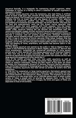 image for Guide to Aquarium Corals: All corals have four basic needs required to