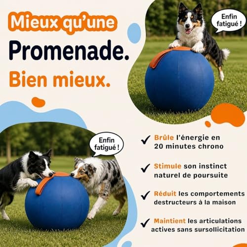 Balle interactive pour chien jouet interactif résistant MEIION intérieur