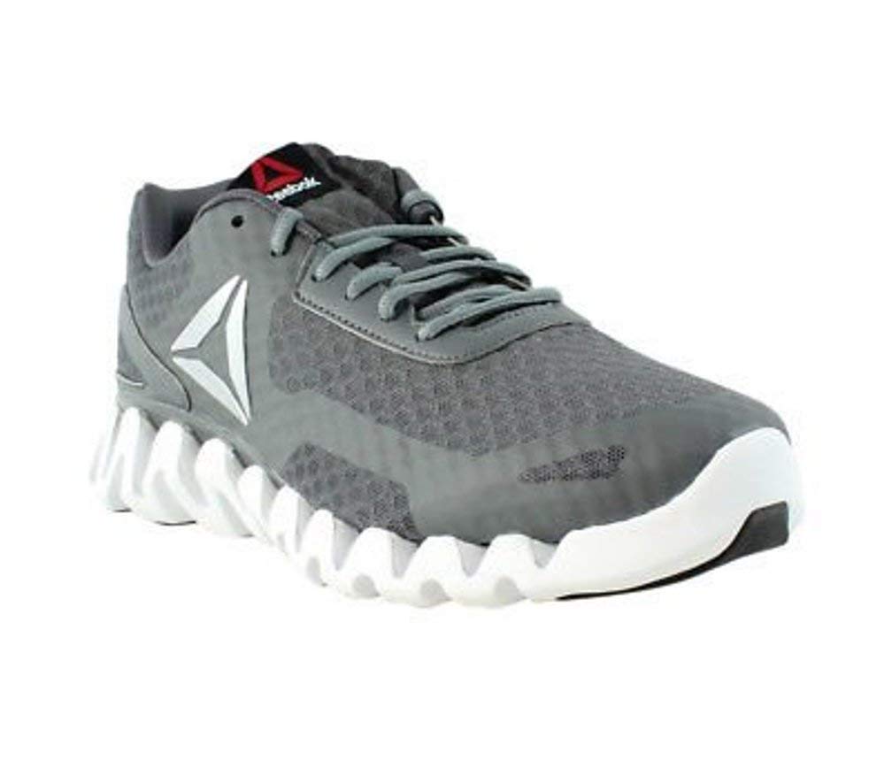 Reebok Men's Zig Evolution Running Shoes - Wide 2E (8.5 2E US, Alloy/Ash Grey/White/Black/Silver)
