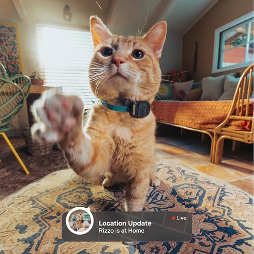 Fi Mini GPS Tracker for Cats — Lightweight Collar Attachment, Virtual Fences, Escape Alerts, Step & Health Tracking, Waterproof Cat Tracker — 6-Month Membership Included - Image 3