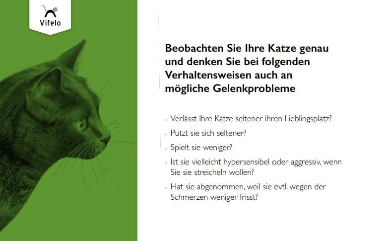 VetVital Vifelo OrthoHyl Miekaus | 60 Tabs | Ergänzungsfuttermittel für Katzen | Mit Hyaluronsäure