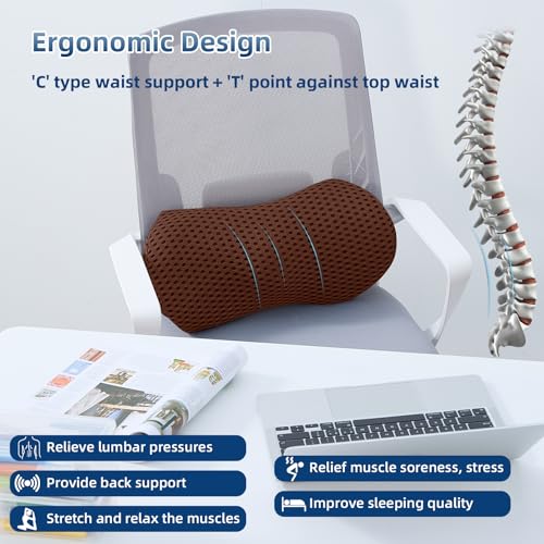 Lumbar Pillow, Memory Foam Lumbar Support Pillow for Office Chair and Car Seat, Ergonomic Streamline Back Pillow for Lower Back Pain Relief, Back Support Pillow for Sitting, Driving, Traveling
