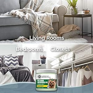 SMELLS BEGONE Pet Odor Absorber Gel – Air Freshener – Made with Essential Oils – Rainforest Scent – 15 Ounce – 2 Pack