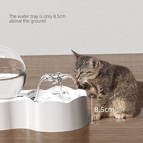 Fuente automática para gatos y perros 77 oz miniatura 6