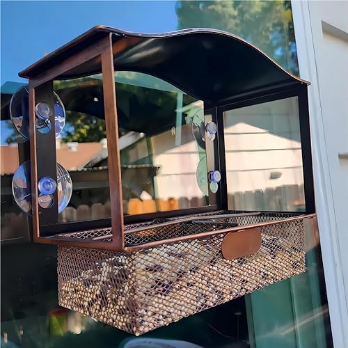 Cat Proof Bird Feeder: Which 5 Will Keep Your Birds Safe? 5 Lilyang Window Bird Feeder, Metal Bird Feeder Window with Wide View, Window Bird Feeders with Strong Suction Cups, Wild Bird Feeders for Bird Watching Presents