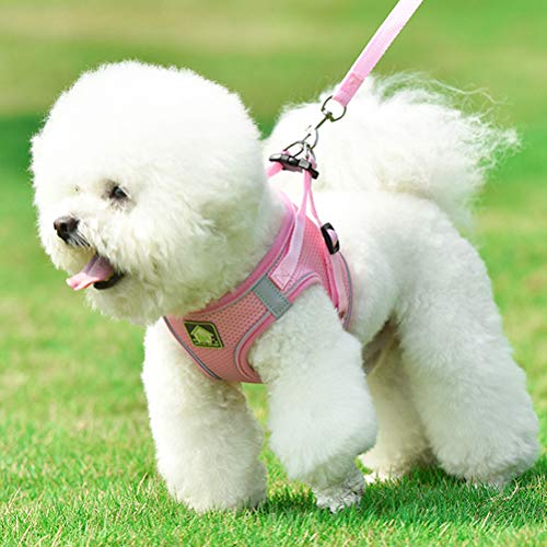 Acessórios para coleira de cachorro- Conjunto de colete e trela para cães Arreios para animais de es