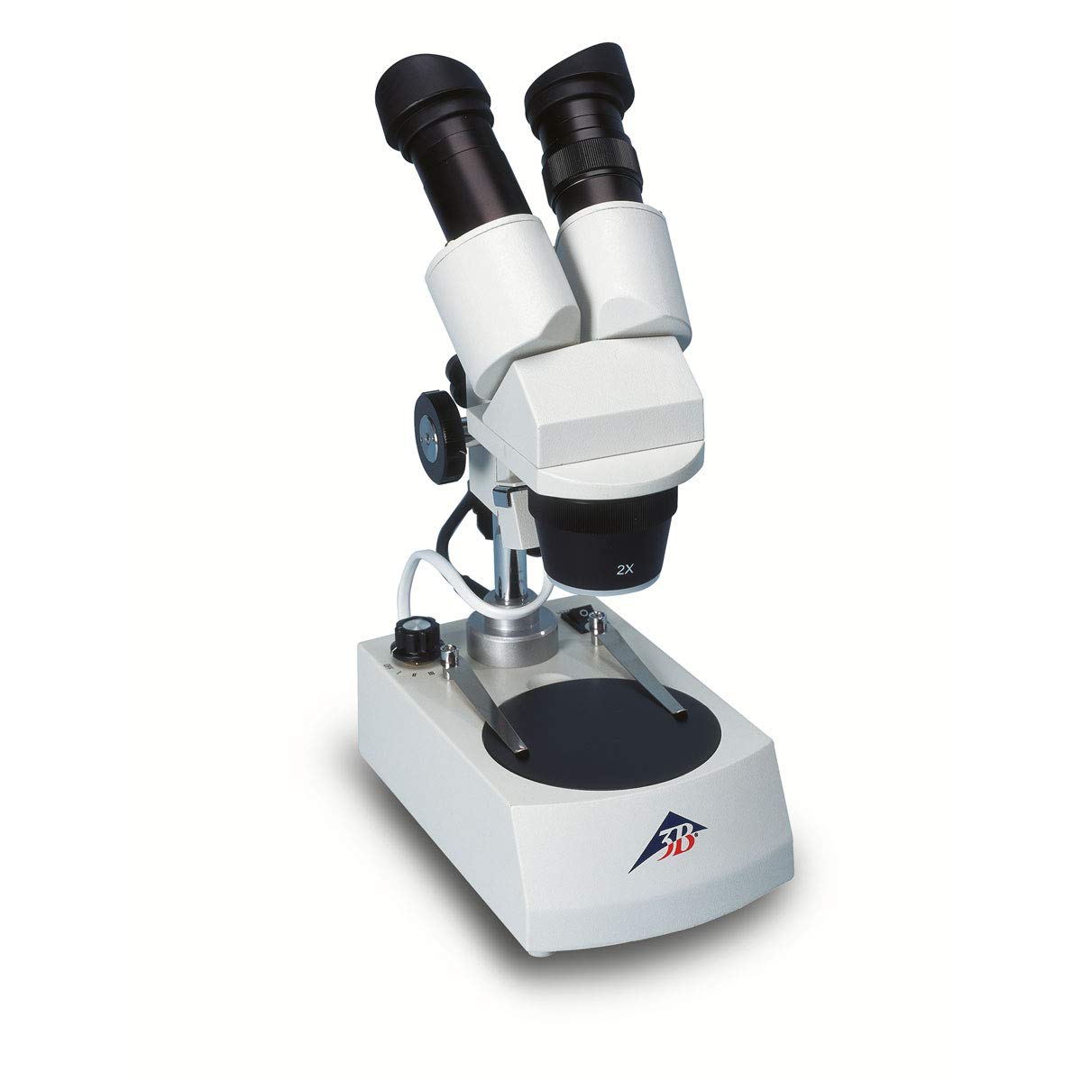 3B Scientific W30666-230 Microscopio Estéreo, 40x, Iluminación de Luz Transmitida LED, 230 V, 50/60 Hz