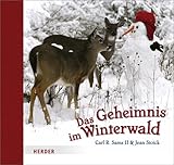 Das Geheimnis im Winterwald