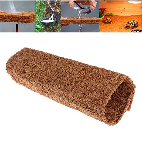 25 Best Bearded Dragon Bedding in 2020 (Buying Guide & FAQs)