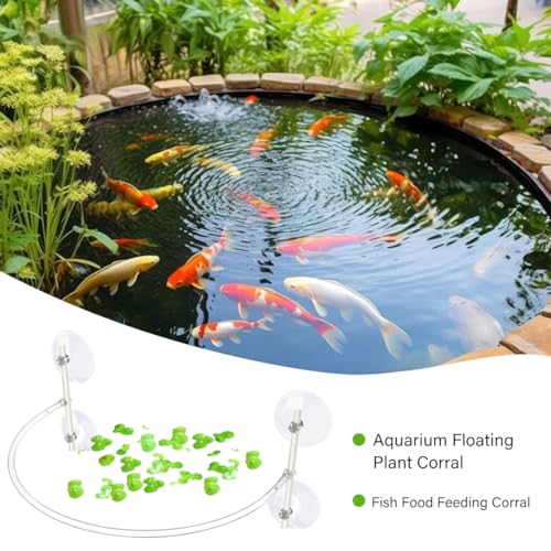 HyzaPhix Aquarium Floating Plant Corral - Image 2