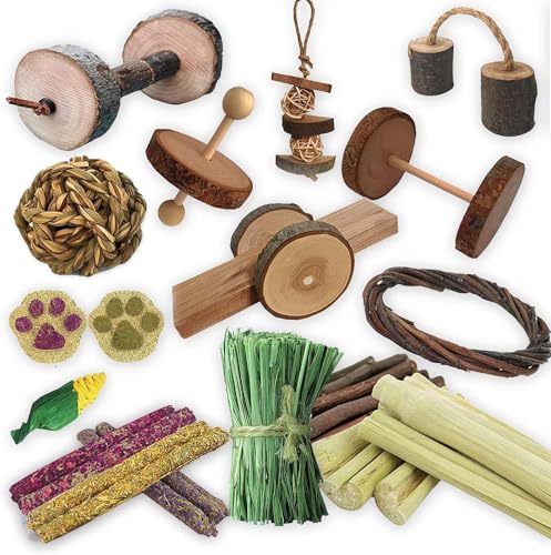 Dbeans Flourithing Gioco Cane Indistruttibile,Set Di 10 Pezzi,Giochi Per Conigli Nani,Per Addestrare Maiali Olandesi, Criceto, Uccelli E Altri Piccoli Animali Domestici