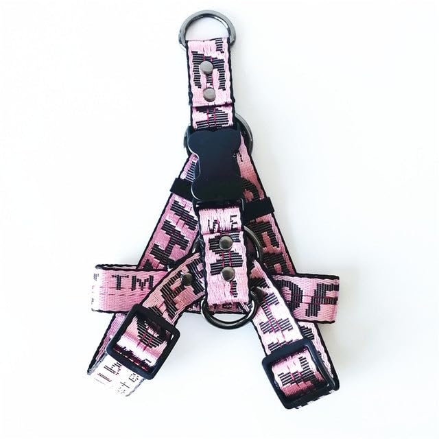 Collier et laisse pour chien nylon résistant avec chaîne dorée S