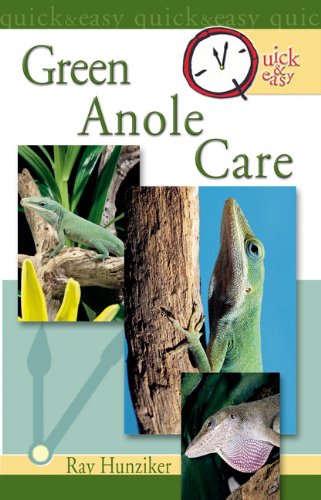 Quick & Easy Green Anole Care