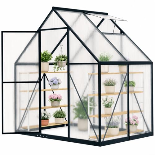 HOOYEAH 6x4FT Greenhouse