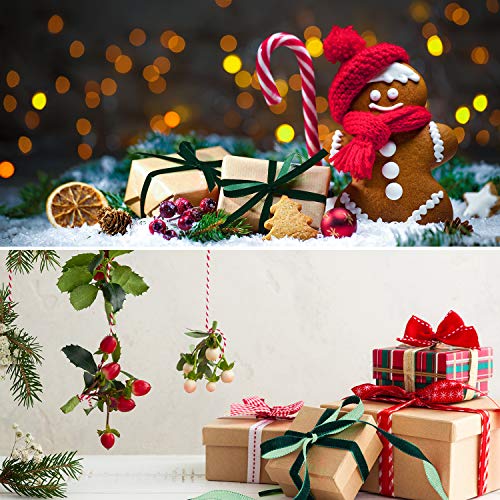 Chunyin 2 Rollos de Cinta de Terciopelo Navideña