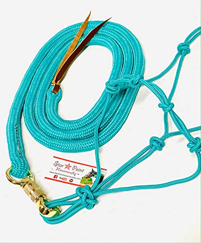 Average Horse 4 Knot Rope Halter & 8' Lead Set (Teal)