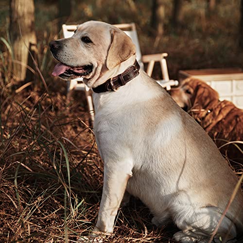 DAIHAQIKO Genuine Leather Dog Collar, Heavy Duty Wide Dog Collar for Small,Medium, Large and Extra Large Dog (L: 1.2" Wide for 17"-23" Neck, Dual Stitch - Brown)