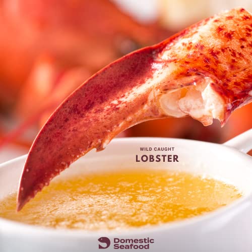 Domestic Seafood Lobster Meat - 2 Pounds (2 lbs) Cooked Fresh Frozen Cold Water Claw and Knuckle Lobster Meat from Maine - Rich in Protein, Omega-3, Vitamins, and Minerals