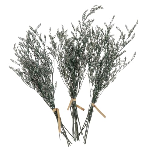 Ramo de flores secas Babysbreath para decoración miniatura 1