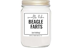 YouNique Designs Smells Like Beagle Farts Soy Candle: A Delight for Beagle Lovers