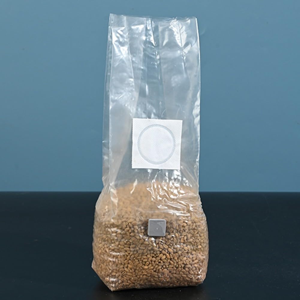 Zilimontt Lot de 10 sacs de culture de champignons stérilisés à haut rendement pour gourmet et champignons, résistants aux températures, 18 x 35 cm