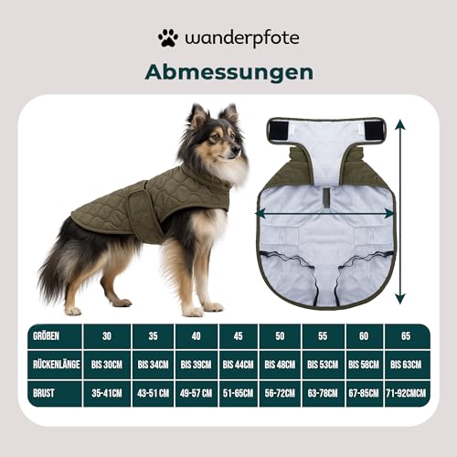Wanderpfote Hundemantel – Steppjacke Hundejacke Stilvoll und Elegant – Hundemantel Wasserdicht – optimal für kleine und mittelgroße Hunde (Grün, XXXL)