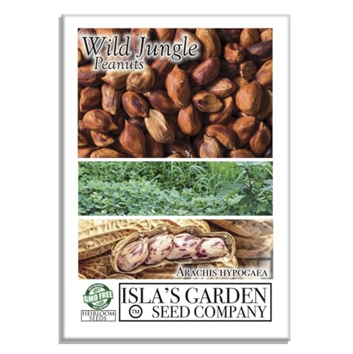 Wild Jungle Peanut Seeds (Arachis hypogaea) 20 Non-GMO Heirloom by Islas Garden Seeds Ancient Amazonian Variety with Rich Nutty Flavor Easy to Grow in Warm Climates Great Gardening Gift