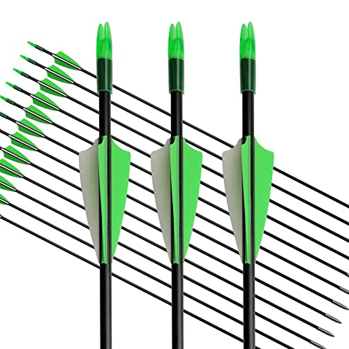 E5E10 31" Fiberglass Arrows Archery Training Practice Target Arrows With Durable Shaft Blunt Tip For Kids Youth Or Beginners For Recurve Bow Long Bow (Green And White) #TOP3