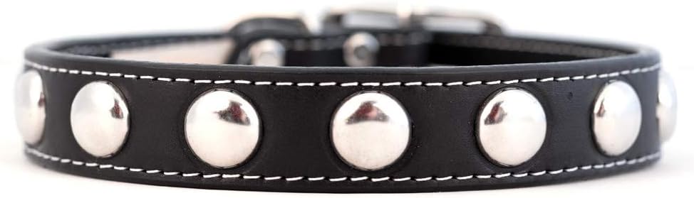 Silver Studded Leather Collar of Size 5/8 x 12 inches, Classic Flat Style in Red with a Nickel-Plated Buckle and Rounded Studs, A Festive Choice for Small, Medium and Large Dogs, Made in The USA