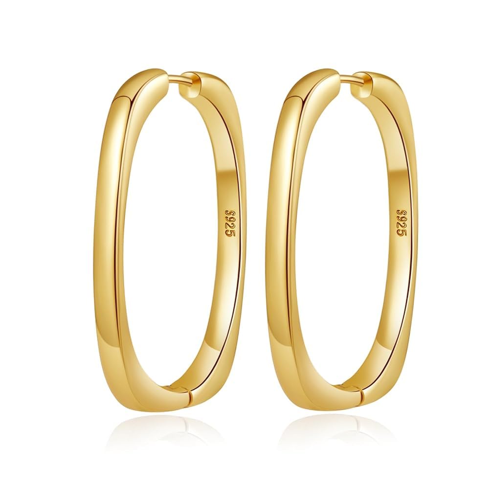 Senteria Silber Creolen für Damen S925 Sterling 14 Karat Weißgold Plattiert Gedrehte mit Zirkonia Leichte Kleine