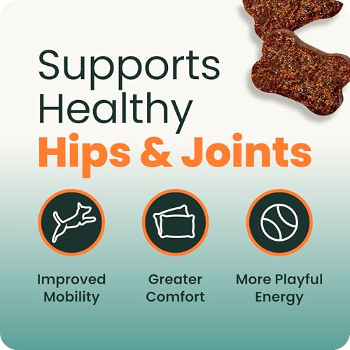 VetriScience Extra Strength Hip & Joint Supplement for Dogs – Supports Joint Health & Mobility, Vet-formulated w/Glucosamine, MSM & Green-Lipped Mussel – Chicken Flavor, 120 Chews