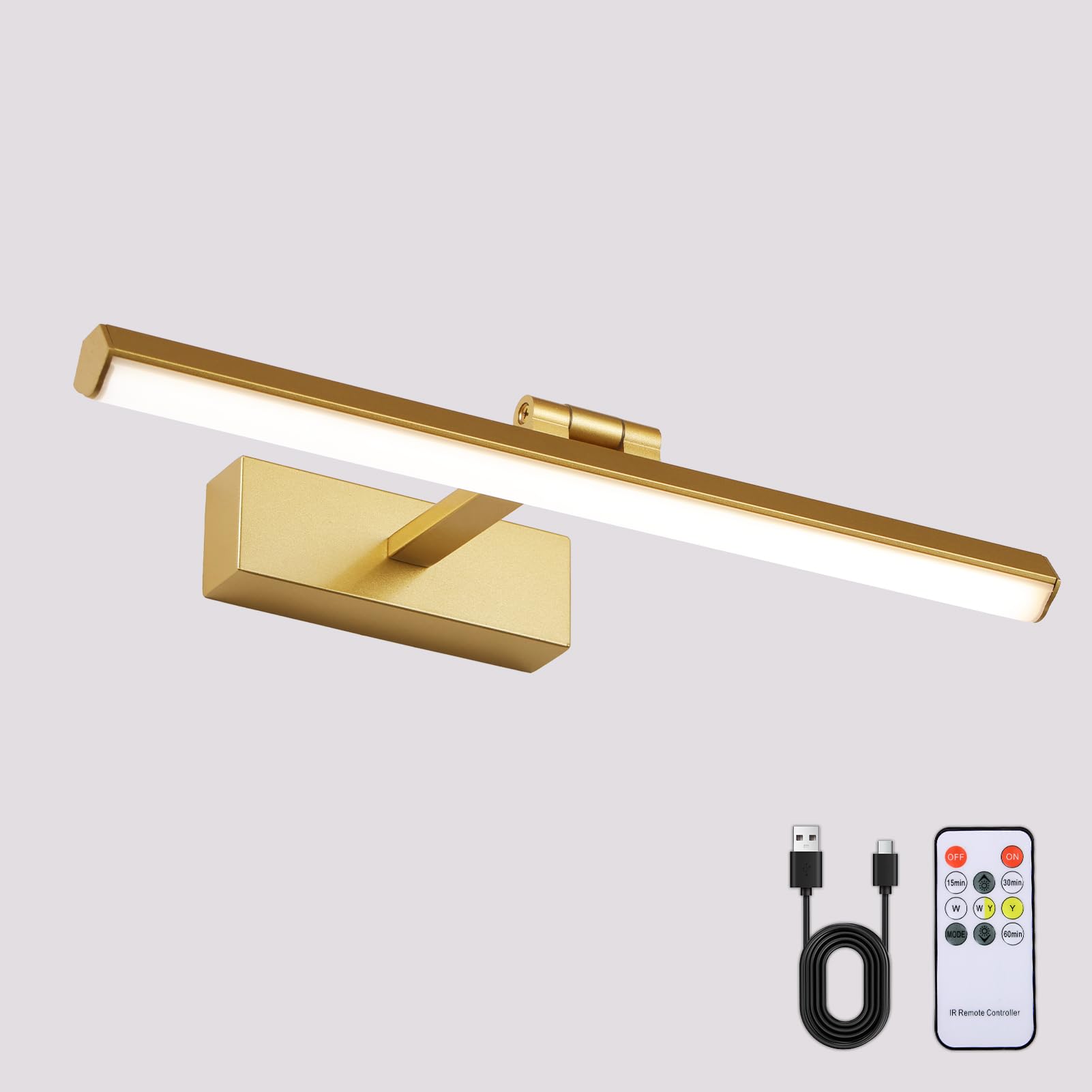 Luci da parete a batteria, color oro, ricaricabili, senza fili, con timer e telecomando, luce artistica dorata dimmerabile per esporre dipinti, gallerie, opere d'arte, ritratti, 39,9 cm