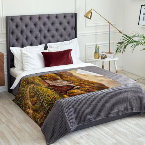 Jeté de grange rustique plaid canapé pour vos soirées cocooning - 3