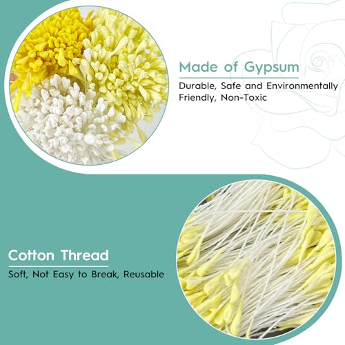 CiShow 1200 STK Blumen Staubblätter, 2.5+1mm Malzförmige Künstliche Staubblatt, Doppelköpfe Perle Blume Staubblatt, Matte Simulierten Stamens, Mini Künstliche Doppelköpfe Perle Blume für DIY Handwerk