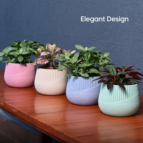 Image of Eha Earth Friendly Oreo 4 inch Small pots for Indoor Plants | Set of 4 | Plant Pot Made with Bamboo Fibers | Table Top Planters for Home Decor and Office, Flower Pot for Living Room | Multi-Light