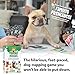 Farting Frenchies Card Game – Fun Family Card Games for Adults & Kids Ages 7+, French Bulldog Gifts Strategy Game | Simple Setup Party Games, 20-Min Playtime, 2-4 Players| Best Christmas Games Gift