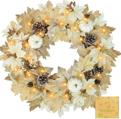 Amazon.com: Fall Wreath with Lights 22 Inch - Fall Wreaths for Front ...