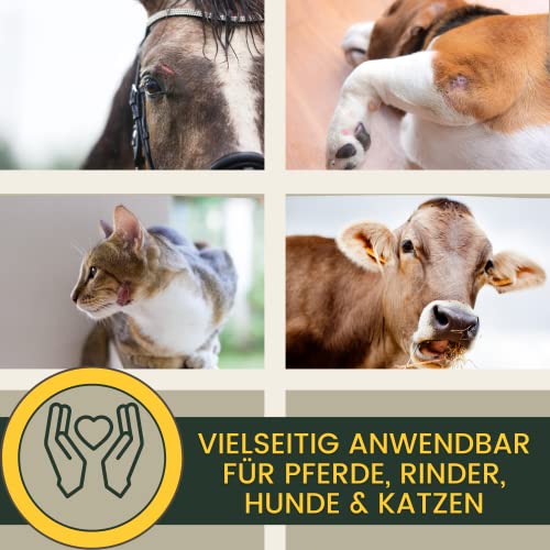 Silberspray für Tiere I Wundspray zum Wundschutz Hund Katze Haustier I Silber Spray Wundheilung I Aluminium Spray Wunddesinfektion I Sprühpflaster atmungsaktiv t Sprühverband Wundversorgung 100ml