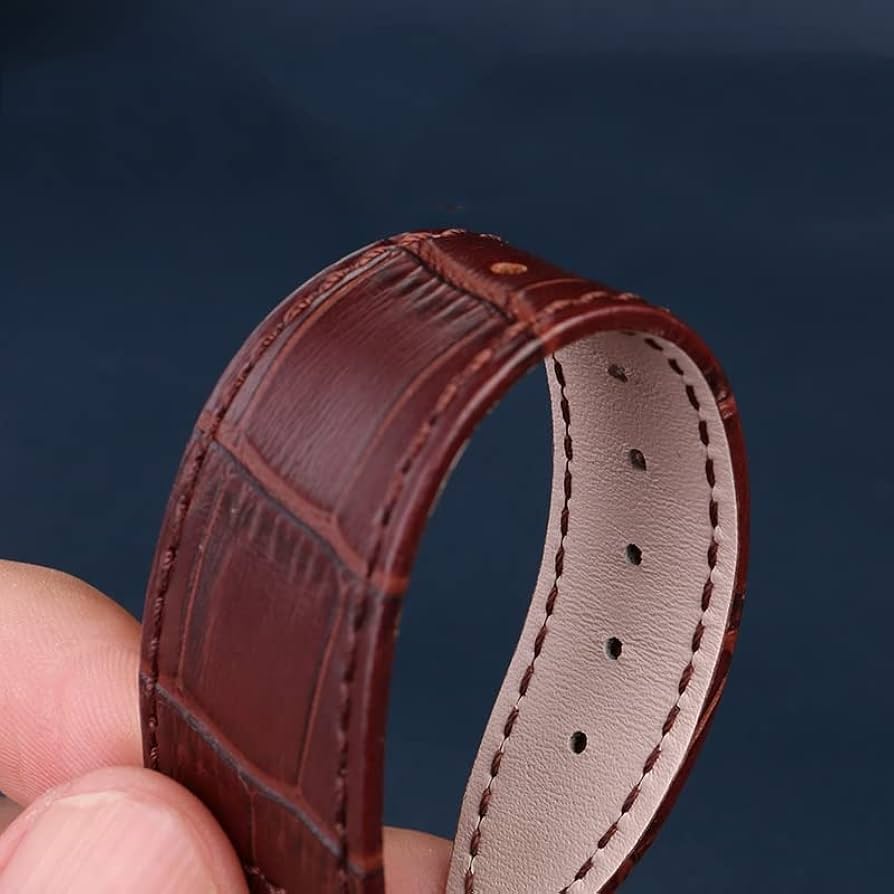 51oevCRJWeL._AC_UF894,