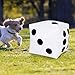 13.8 inch Giant Inflatable Dice Pool Toy for Lawn Games Outdoor Floor Games，Pack of 1