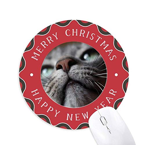 L̎ʐ^Ă铮 ~`S̃NX}X}EXpbh