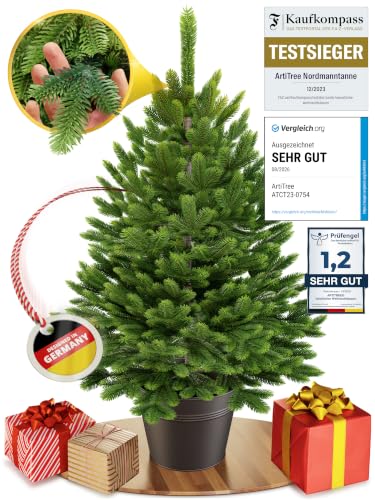 ArtiTree Künstlicher Mini Weihnachtsbaum im Topf 40 cm – Nordfichte – Ansicht 7
