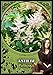 Flower Magic Oracle Cards: 44 full colour cards & 110pp guidebook