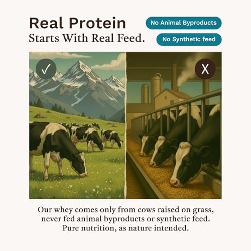 Image of Grass Fed Whey Protein Blend - Chocolate | Who Moved My Protein | Chocolate Flavor | Whey Isolate & Concentrate | 24.51g Protein | Sweetened with Monk-Fruit | Third-party lab tested | Vegetarian Protein | For Men & Women