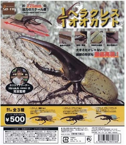 ★希少★ ヘラクレスオオカブト 5匹セット Amazon | 11ヘラクレスオオカブト 全3種セット ガチャ ガシャポン